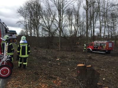 Bild vergrern: Scharbeutz Aktuelles 18.03.2017 Baum umgefallen 
